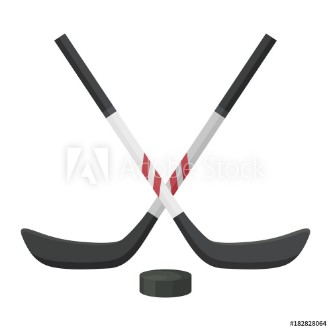 Picture of Hockey stick and washer